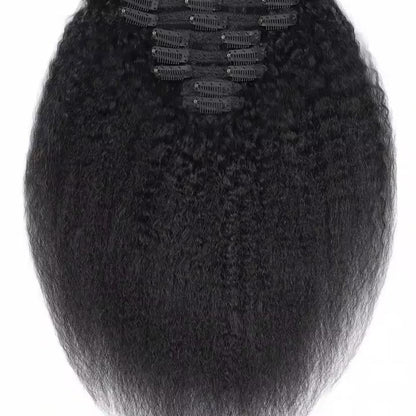 Burmese Kinky Straight Seamless Clip Ins