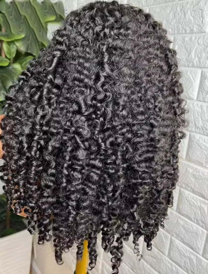 5x5, 13x4, 13x6 HD Lace Burmese Curly Wig - BrisRawHairCo