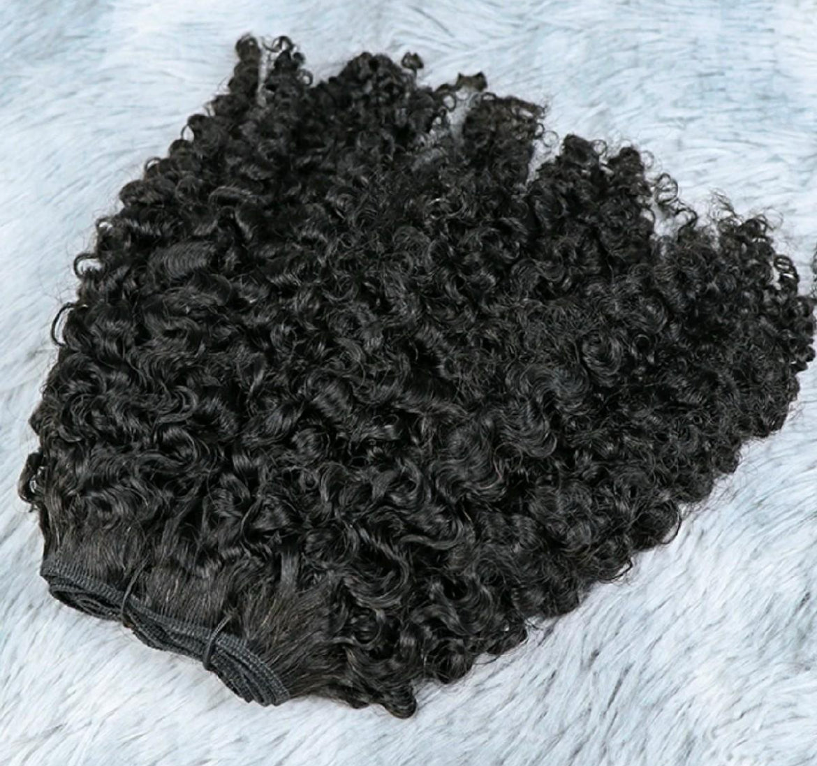 Burmese Jerry Curly 3 Bundle Deals