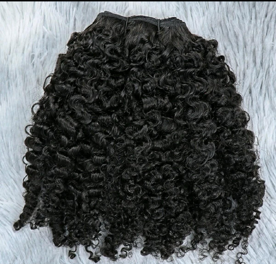 Burmese Jerry Curly 3 Bundle Deals