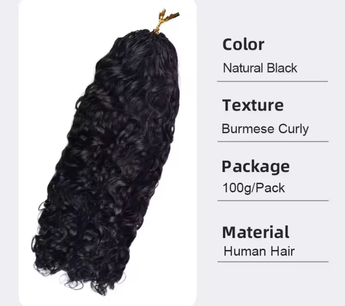 BrisRawHairCo’s Feather Crochet Hair - BrisRawHairCo