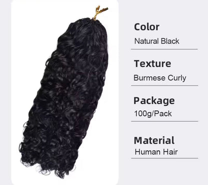 BrisRawHairCo’s Feather Crochet Hair - BrisRawHairCo