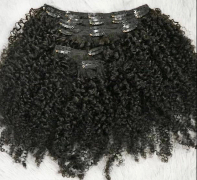 Burmese Kinky Curly Seamless Clip Ins - BrisRawHairCo