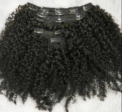 Burmese Kinky Curly Seamless Clip Ins - BrisRawHairCo