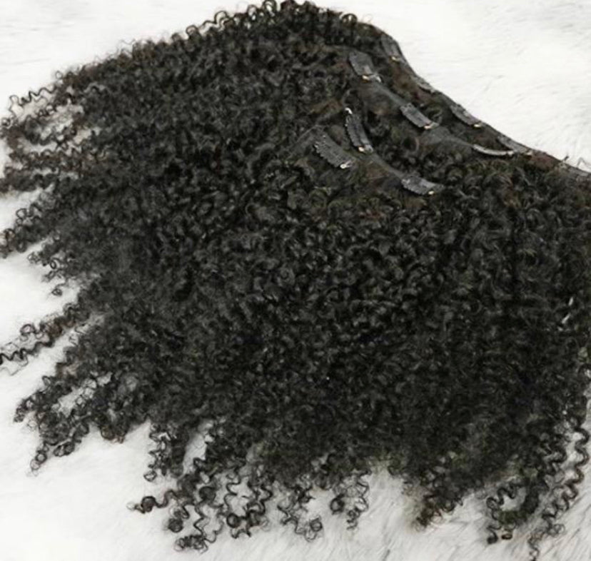 Burmese Kinky Curly Seamless Clip Ins - BrisRawHairCo