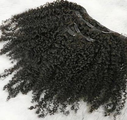 Burmese Kinky Curly Seamless Clip Ins - BrisRawHairCo