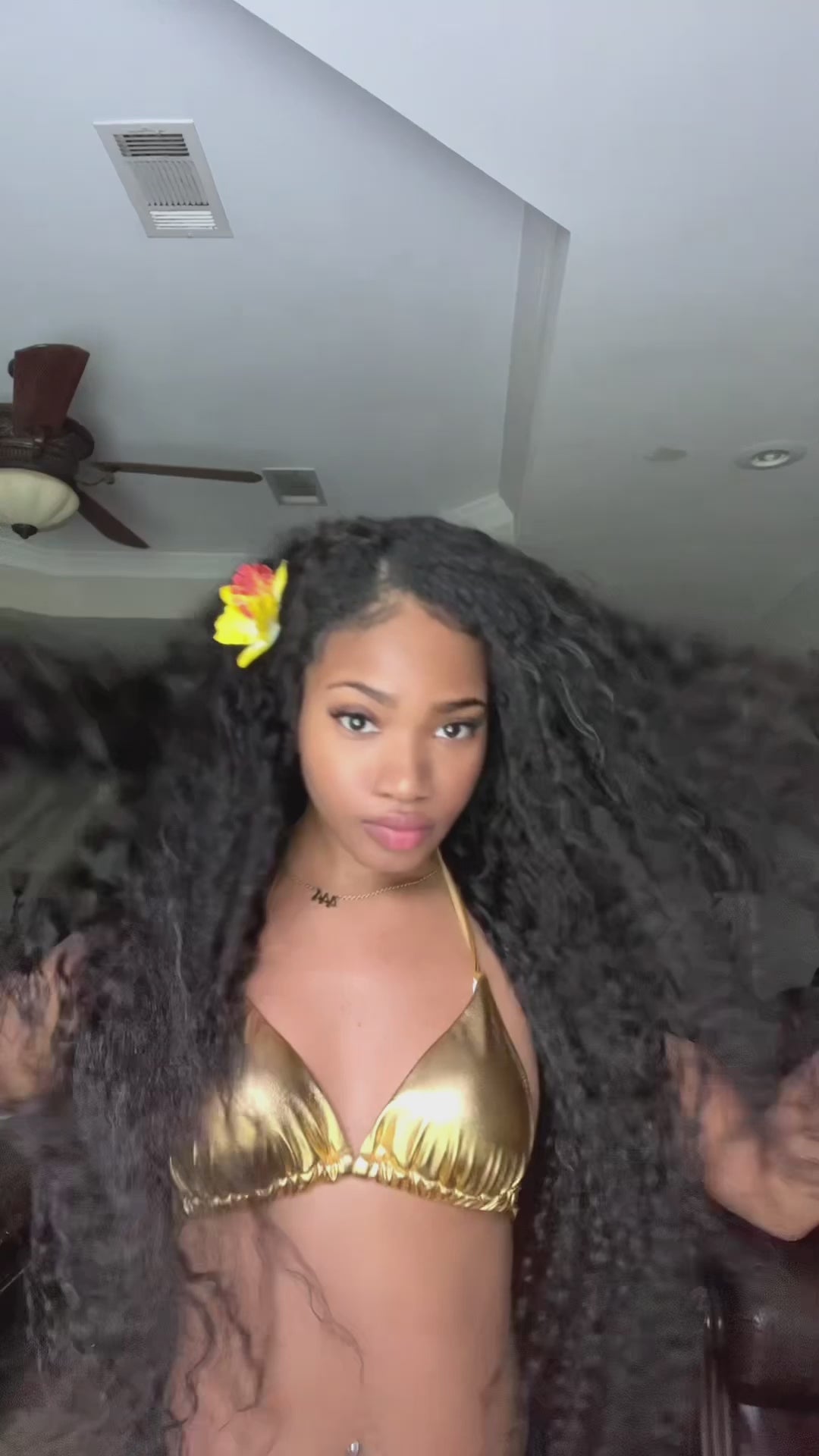 Burmese Water Curly 3 Bundle Deals