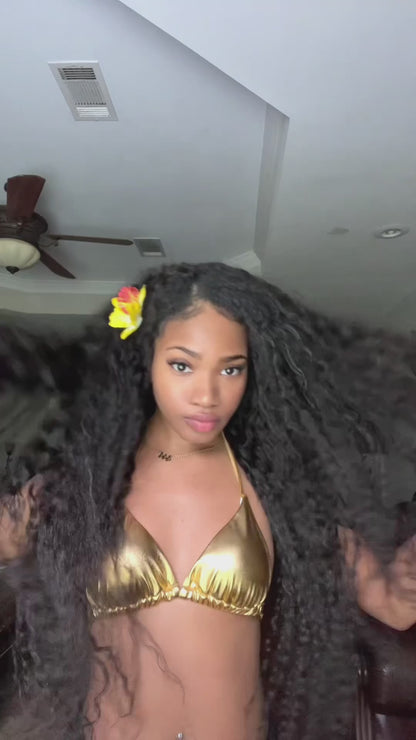 Burmese Water Curly 3 Bundle Deals